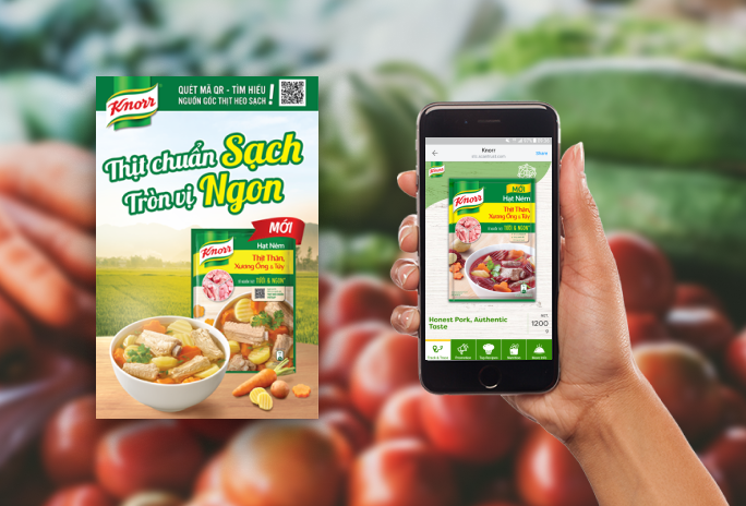 Knorr case study